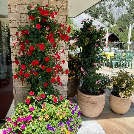 Seeblick 3* Nassereith