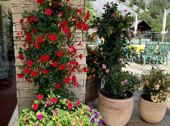 Seeblick 3* Nassereith