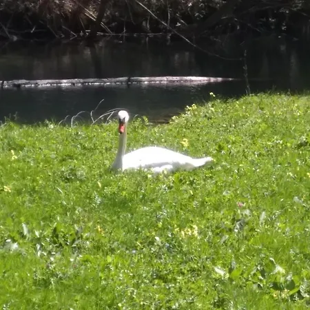 Seeblick Hotel Nassereith