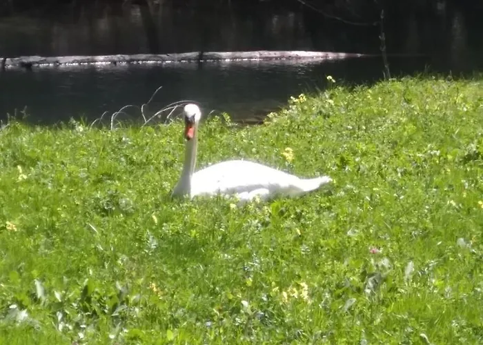 Seeblick 酒店 那塞雷思
